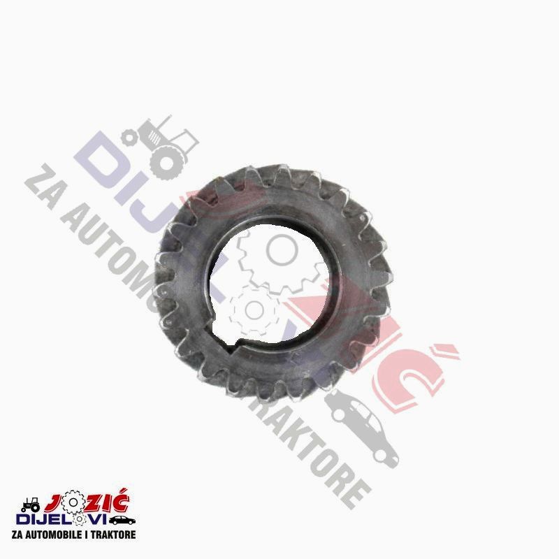 Daisy on the Ohoopee